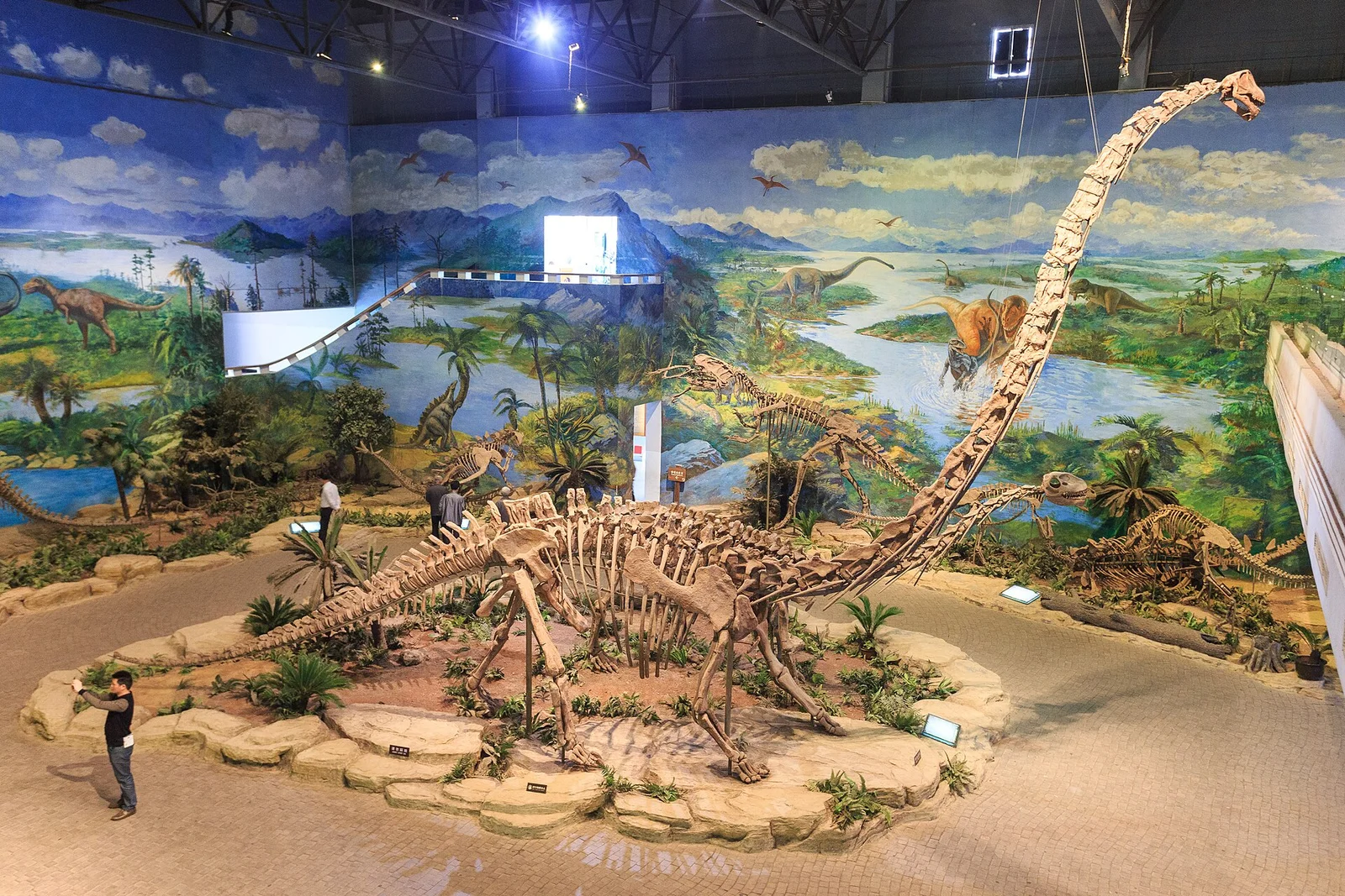 Mamenchisaurus hochuanensis