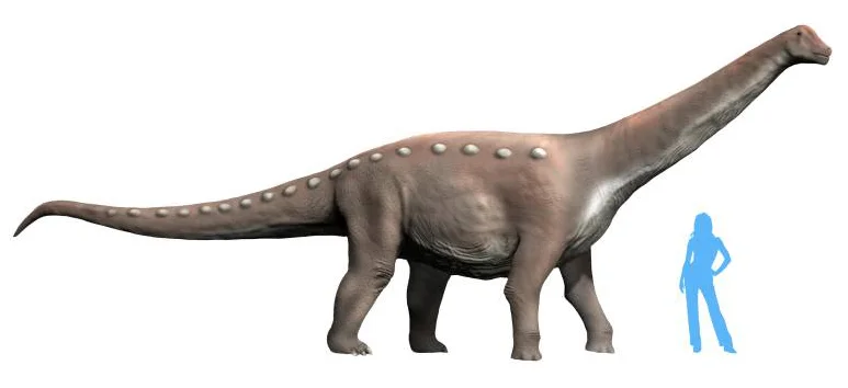 Mansourasaurus shahinae