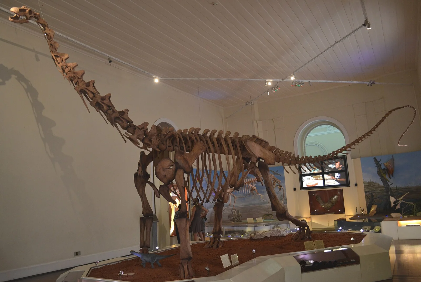 Maxakalisaurus topai