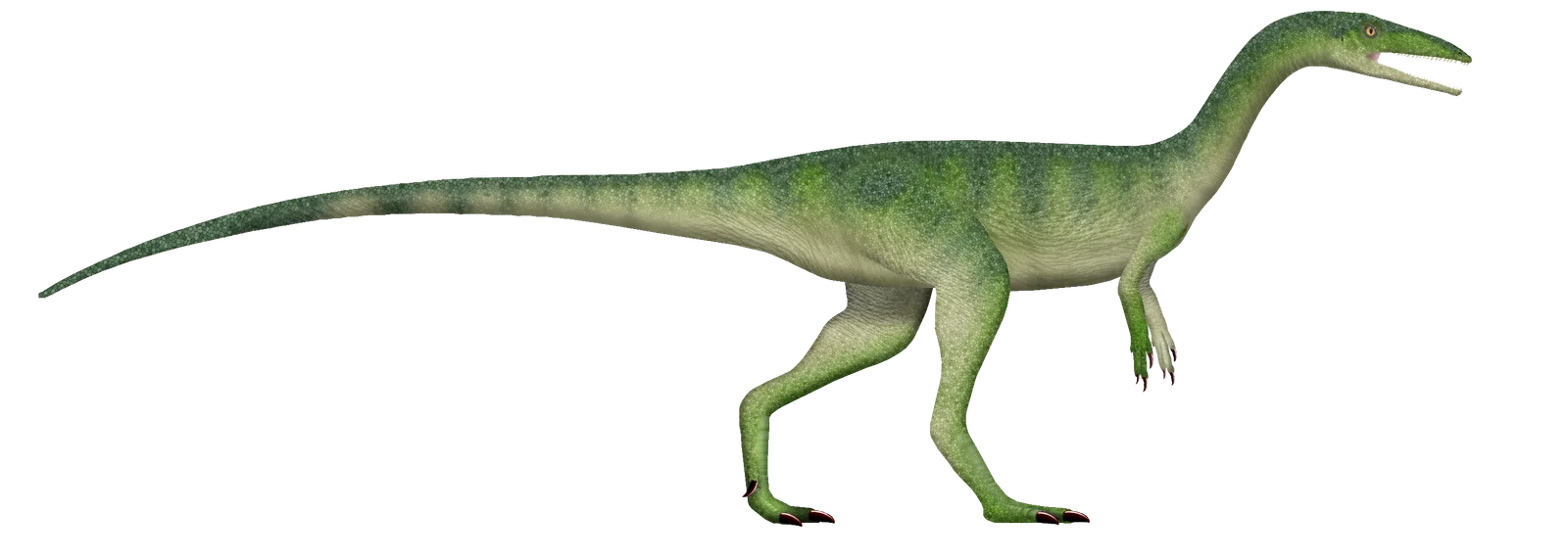 Megapnosaurus rhodesiensis