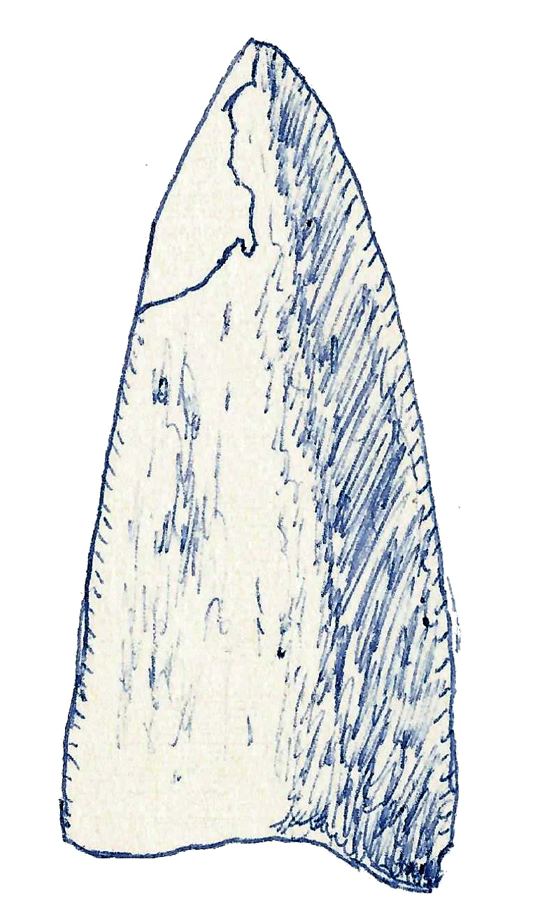 Mongolosaurus haplodon