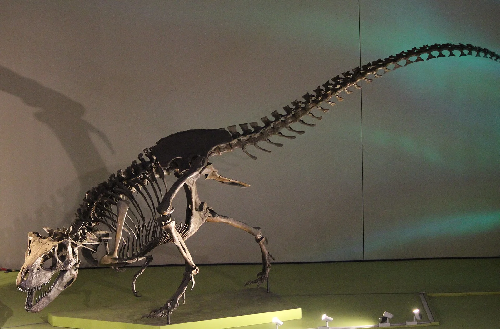 Nanuqsaurus hoglundi