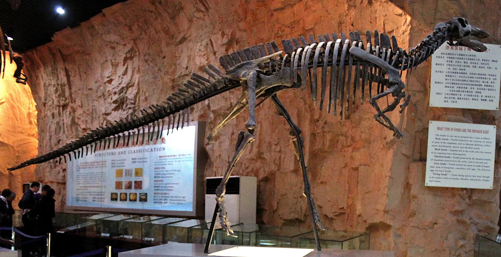 Nanyangosaurus zhugeii