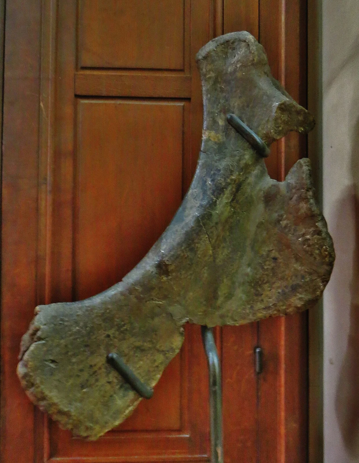 Narindasaurus thevenini