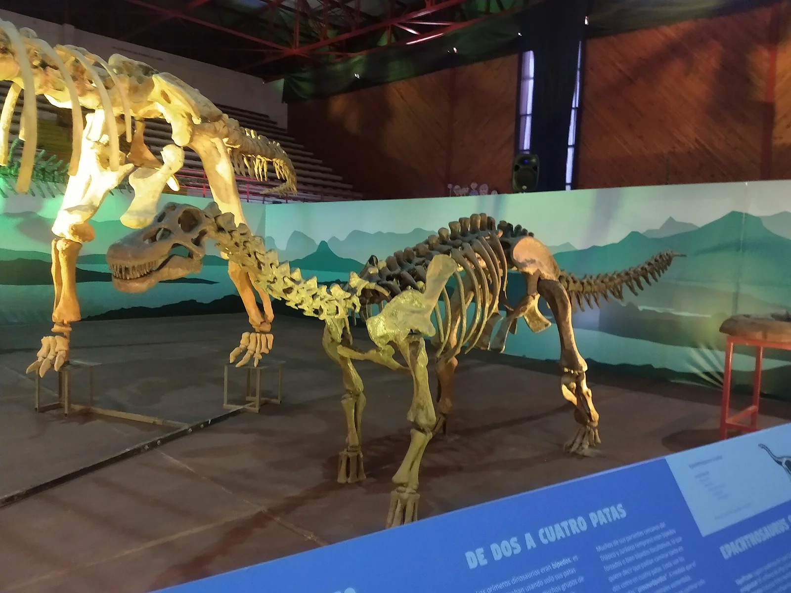 Neuquensaurus australis