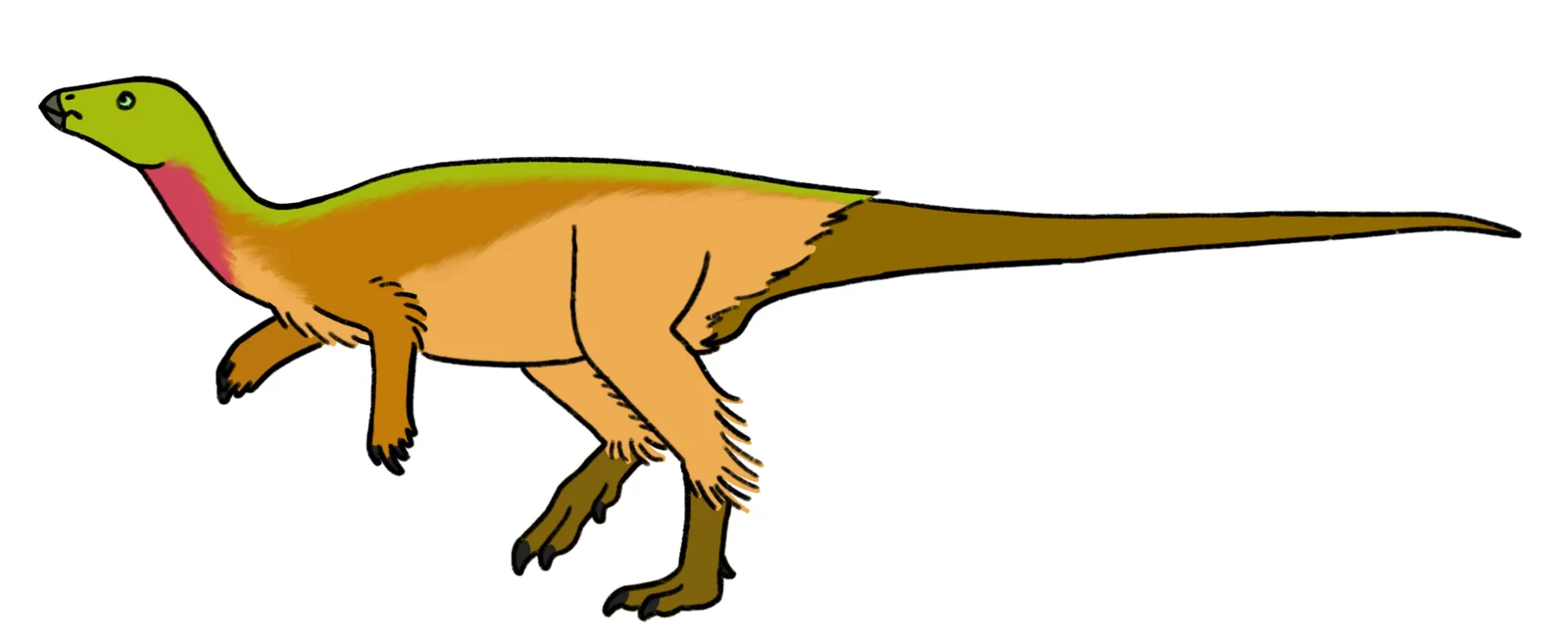 Notohypsilophodon comodorensis