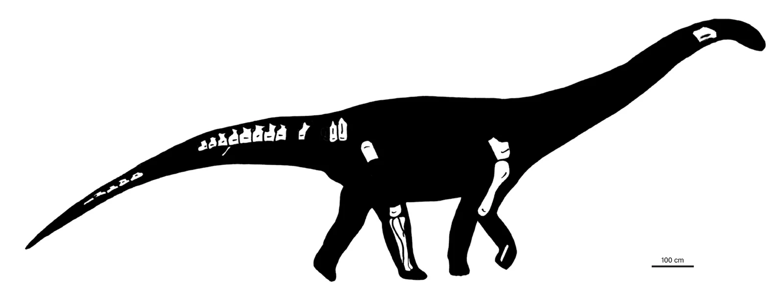 Nullotitan glaciaris
