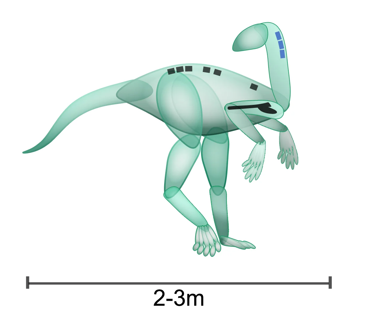 Nyasasaurus parringtoni