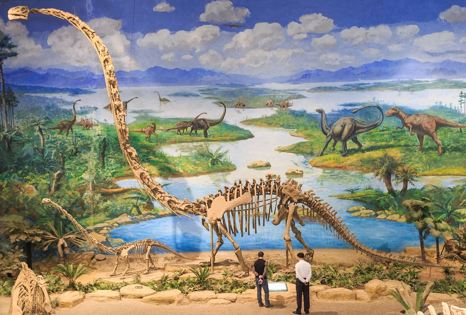 Omeisaurus changshouensis