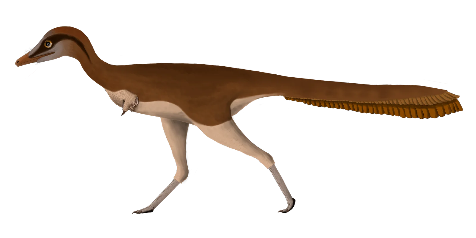 Ondogurvel alifanovi