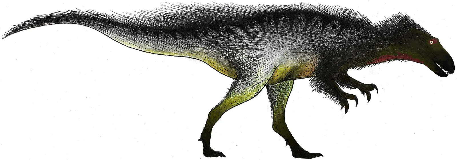 Orkoraptor burkei