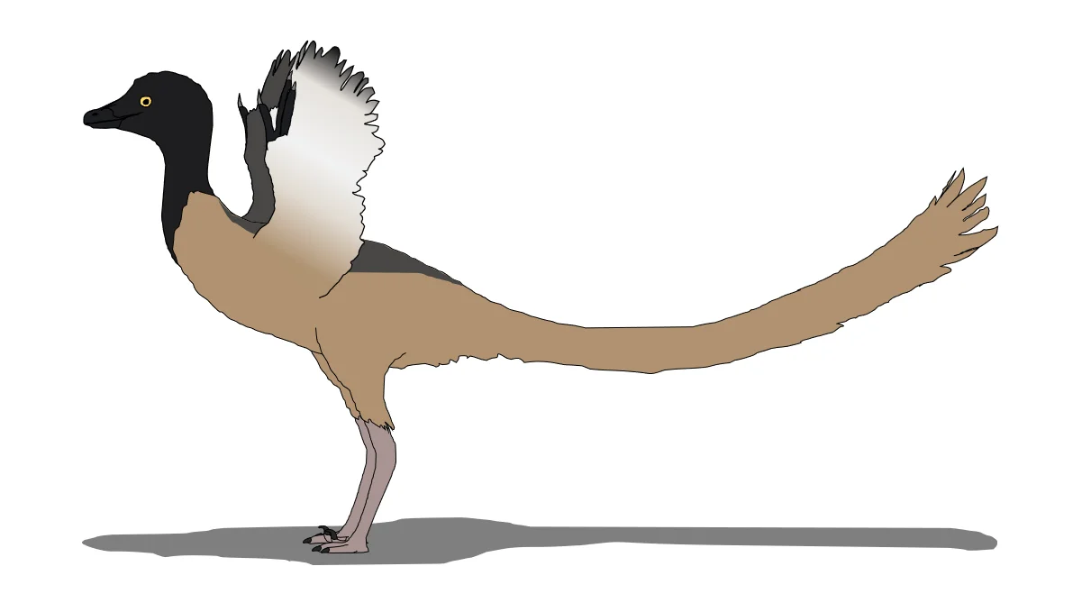 Overoraptor chimentoi