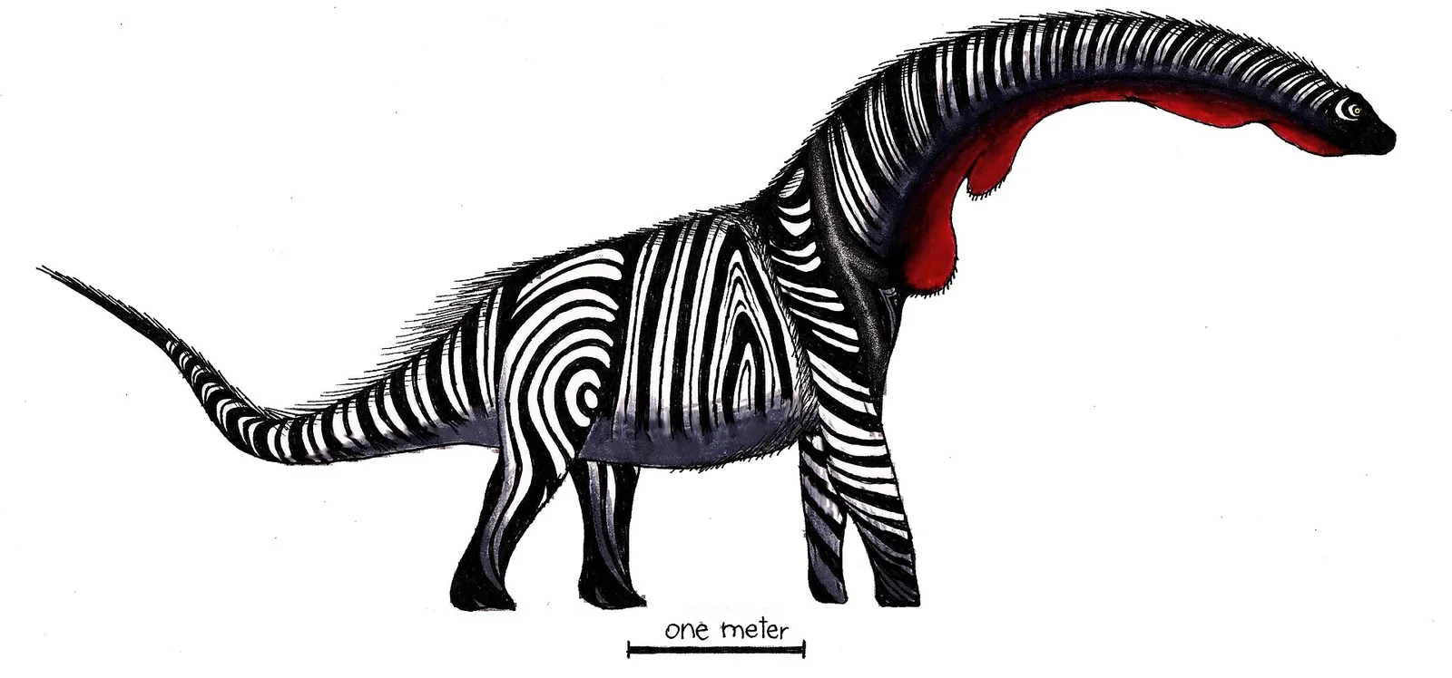 Overosaurus paradasorum