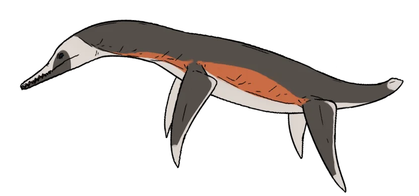 Pahasapasaurus haasi