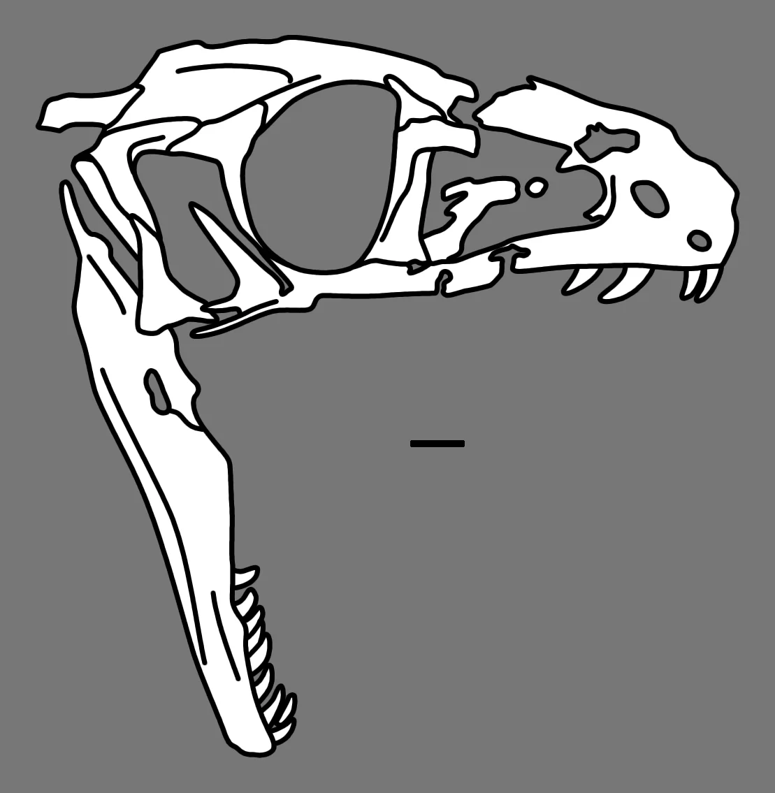 Panguraptor lufengensis