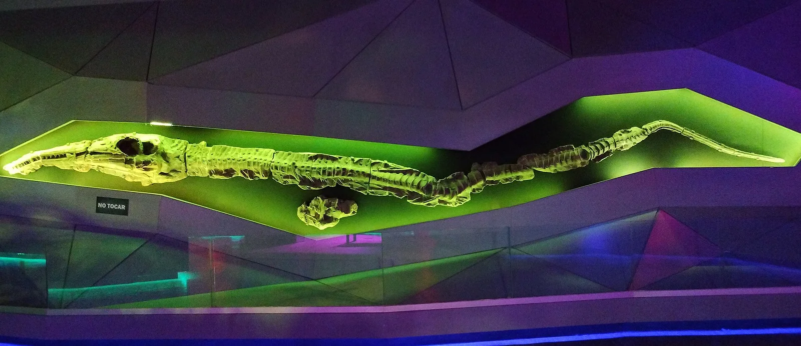 Parrassaurus yacahuitztli