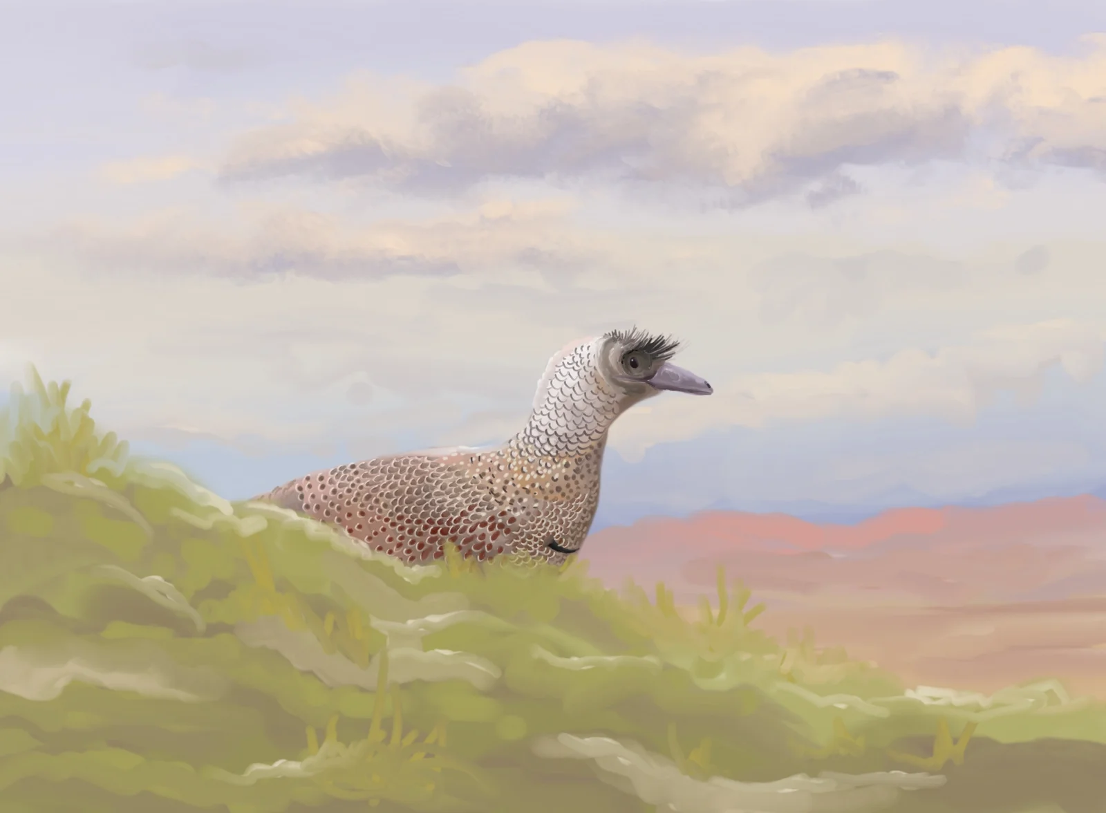 Parvicursor remotus
