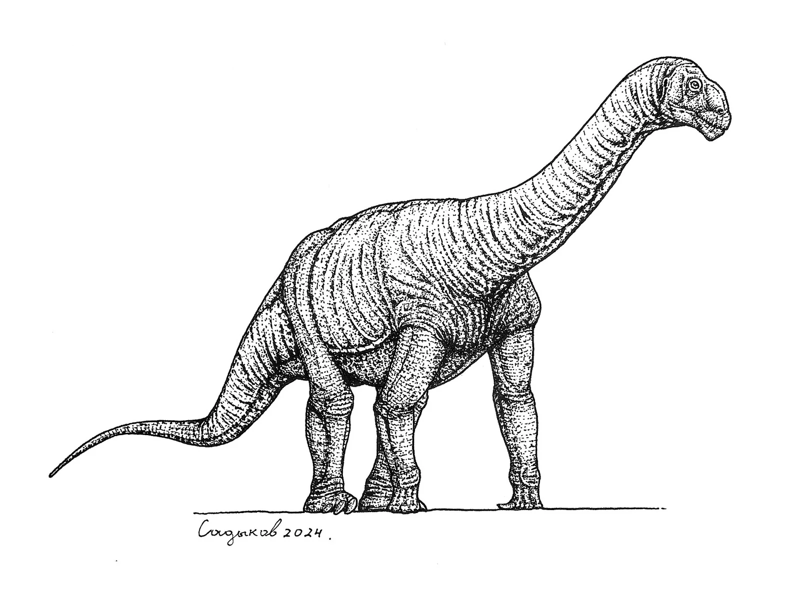 Perijasaurus lapaz