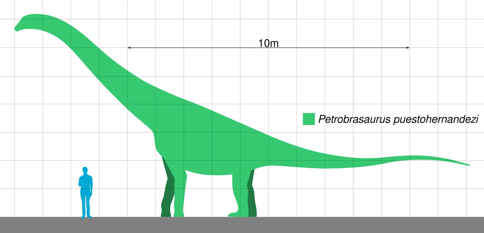 Petrobrasaurus puestohernandezi
